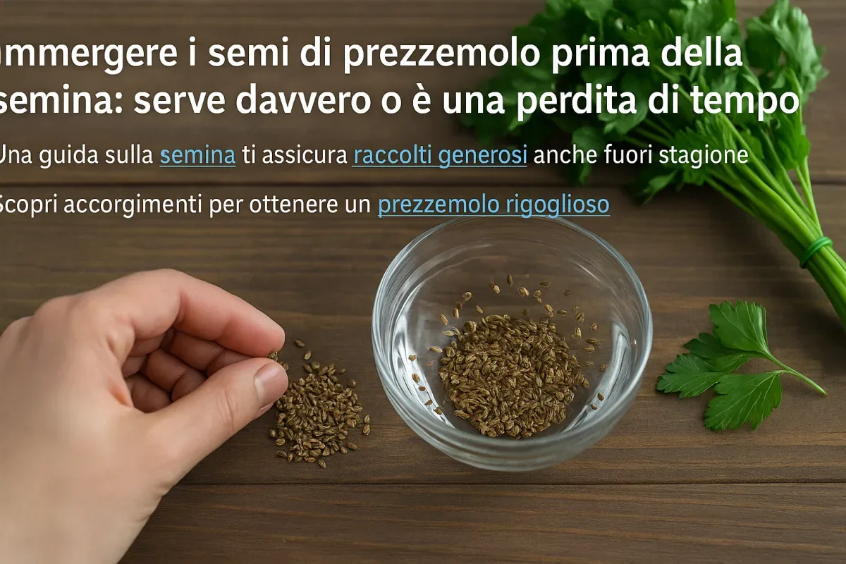 Regene Tea opinioni: pro, contro e per chi ha senso